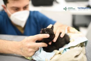 curso-auxiliar-veterinario-galicia-hospital-4-de-octubre