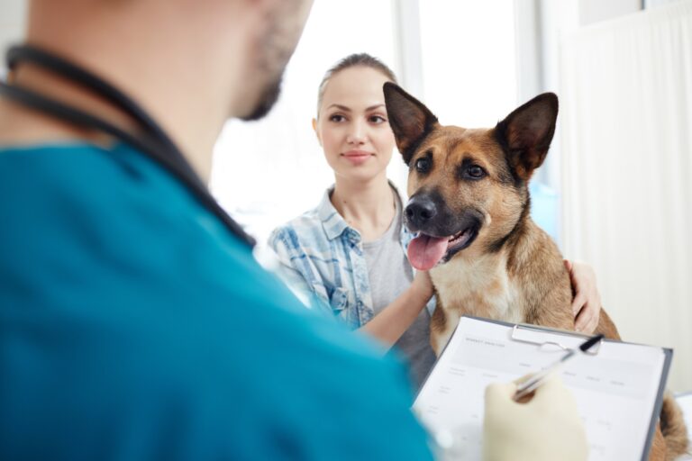 Veterinario pasando lista a paciente