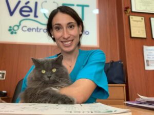 curso-auxiliar-veterinario-almeria-clinica-velvet