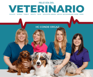 curso-auxiliar-veterinario-madrid-hospital-veterinario-conde-orgaz