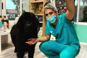 curso-auxiliar-veterinario-comunidad-valenciana-clinica-la-cañada