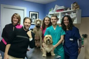 curso-auxiliar-veterinario-extremadura-clinica-doctorcan