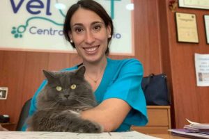 curso-auxiliar-veterinario-almeria-clinica-velvet