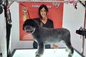 curso-auxiliar-veterinario-cadiz-peluqueria-pura-vida-dog