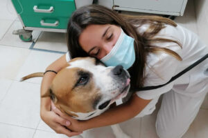 curso-auxiliar-veterinario-cadiz-clinica-valdelagrana