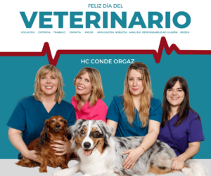 curso-auxiliar-veterinario-madrid-hospital-veterinario-conde-orgaz