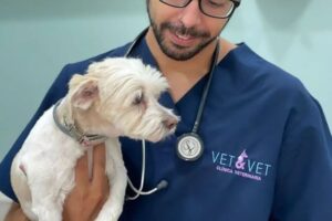 curso-auxiliar-veterinario-sevilla-centro-vet-and-vet